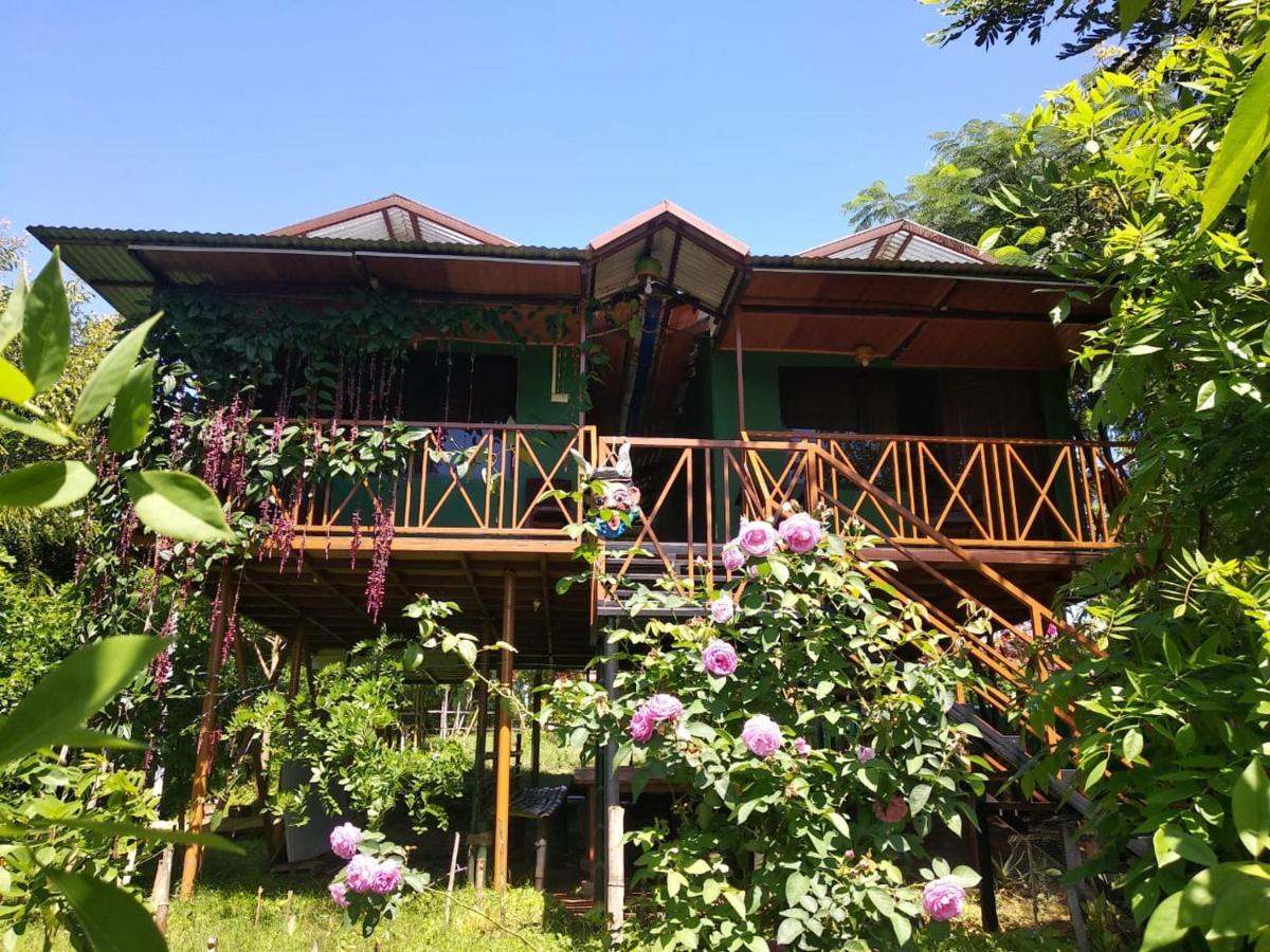 Hotel Mist Valley Masinagudi Exterior foto
